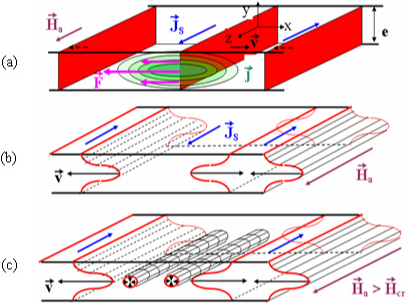 Figure 1 : déplacement des parois de Bloch sous l’effet d’un cha